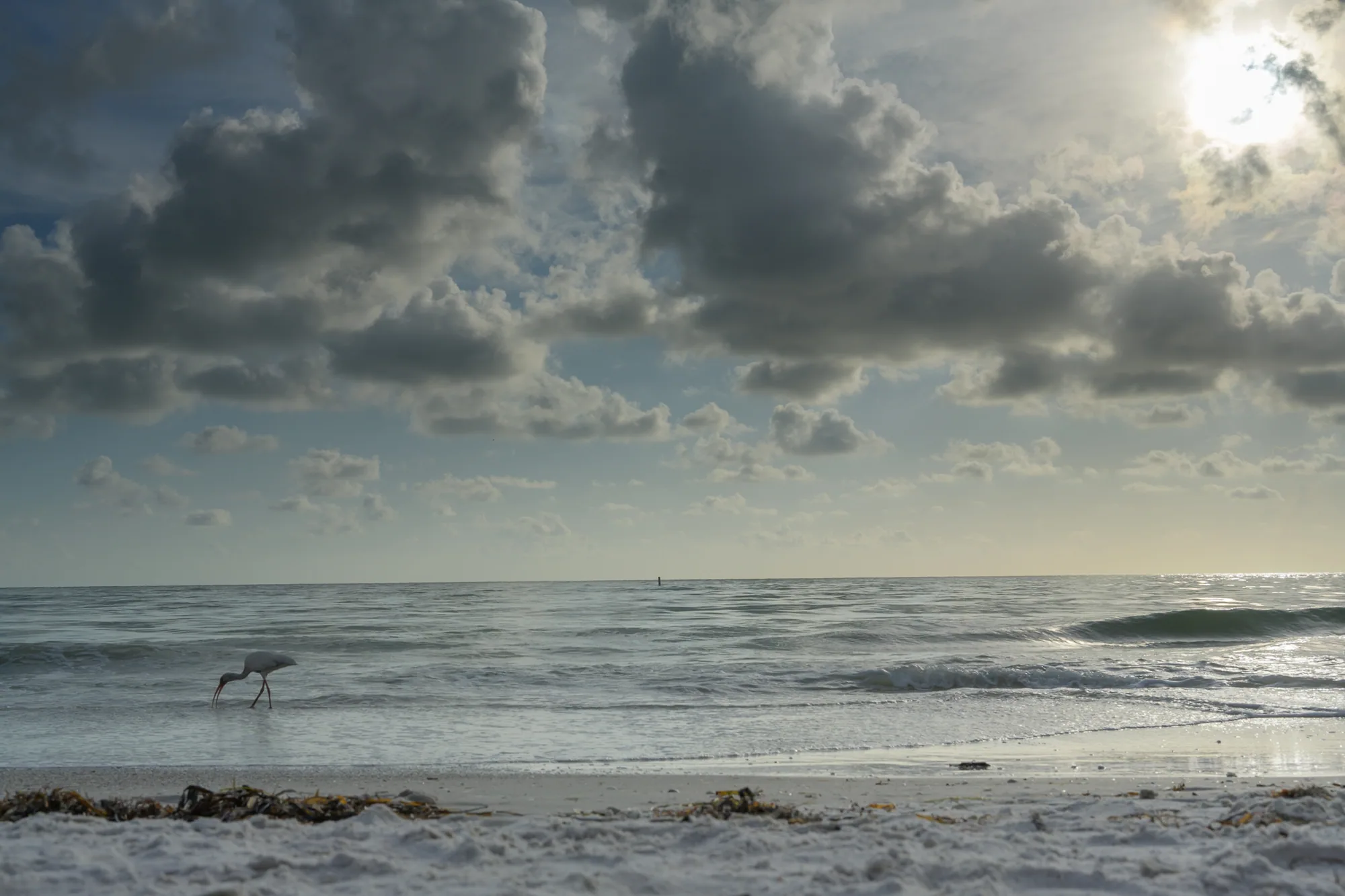 Beach Life: SST1942 flickr